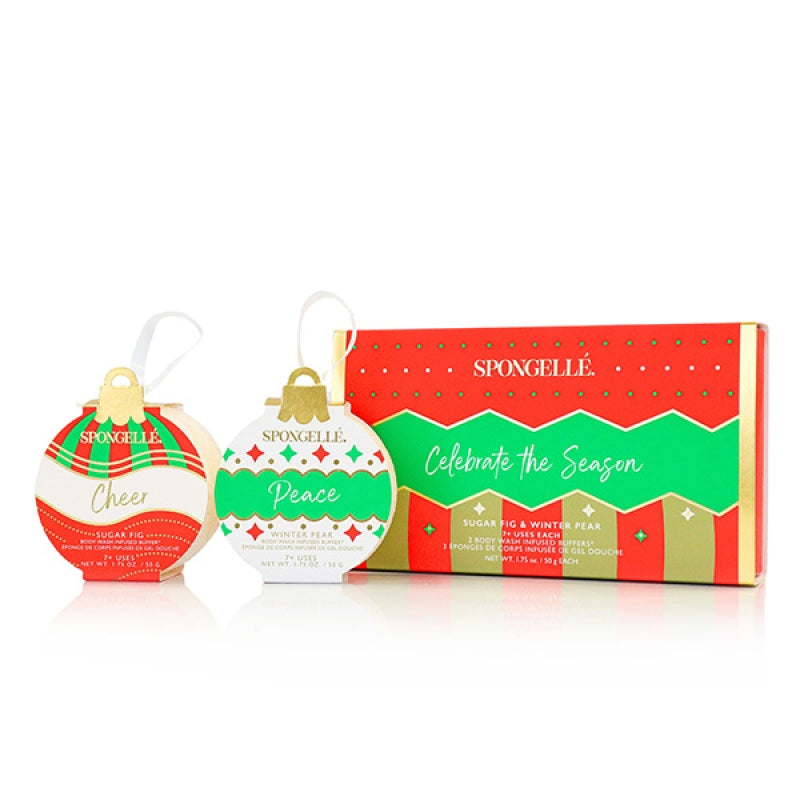 Ornament Gift Set - Celebrate the Season